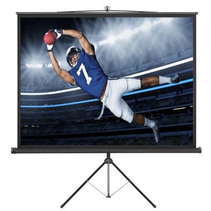 Projection Screen Large